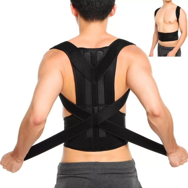 Back Support Belt