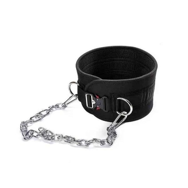 Dipping Belt