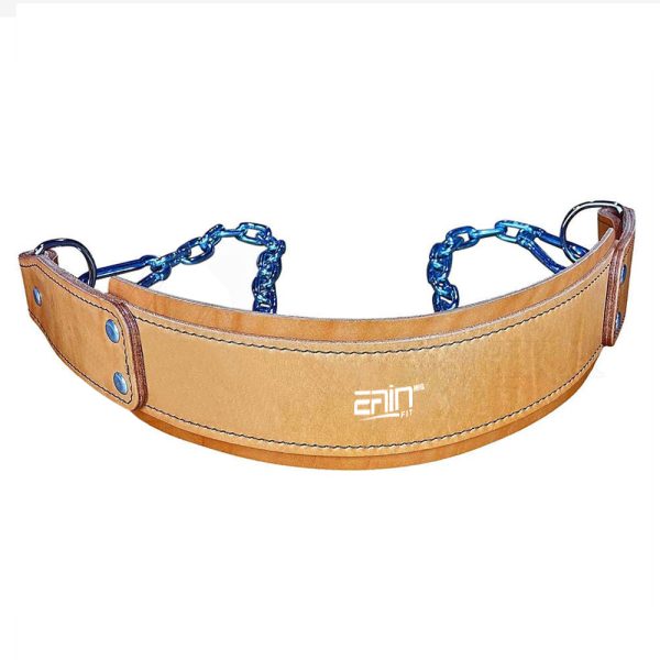 Dipping Belt