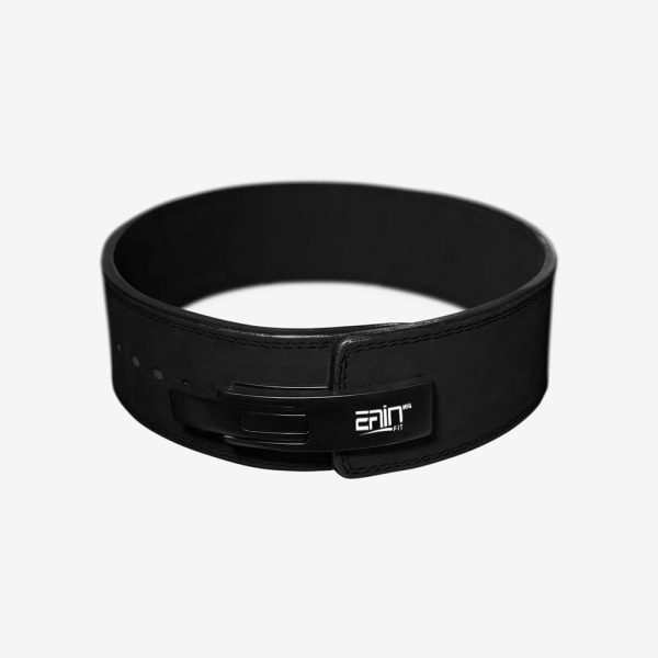 Dipping Belt